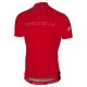 PROFESJONALNY LETNI KOMPLET CASTELLI 2014 RED Z SZELKAMI