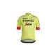 TREK PROFESJONALNY LETNI KOMPLET ROWEROWY 2018 YELLOW