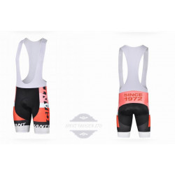 GIANT SPODENKI ROWEROWE MODEL 2015