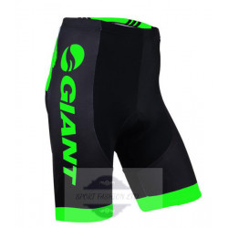 GIANT SPODENKI ROWEROWE MODEL 2015 ALPECIN