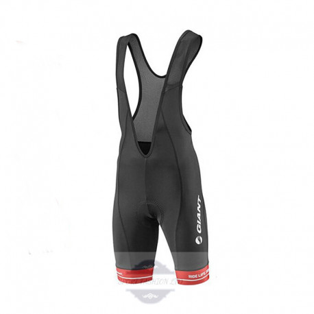 GIANT SPODENKI ROWEROWE MODEL 2017