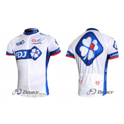 PROFESJONALNE LETNIE KOSZULKI ROWEROWE FDJ 2011 2 MODELE